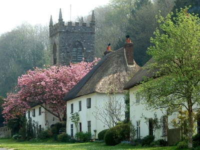 Rental Property Search Service